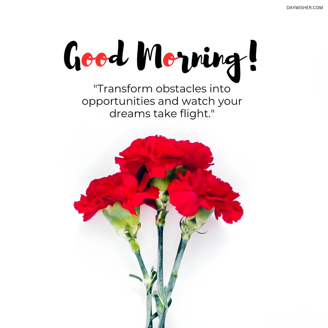 Vivid red carnations against a clean white background, paired with an uplifting good morning quote about transforming obstacles, ideal for sharing as a good morning flowers image to inspire motivation.