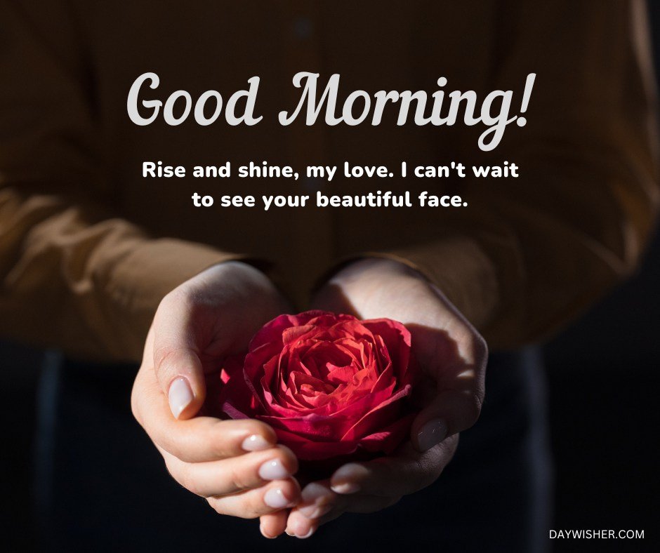 A tender and intimate image showcasing a single red rose cradled in the hands of an individual, set against a warm background with a heartfelt "Good Morning!" message. This visual encapsulates a personal and affectionate morning greeting, evoking the anticipation of seeing a loved one’s face, perfect for conveying deep emotional connections and warmth.