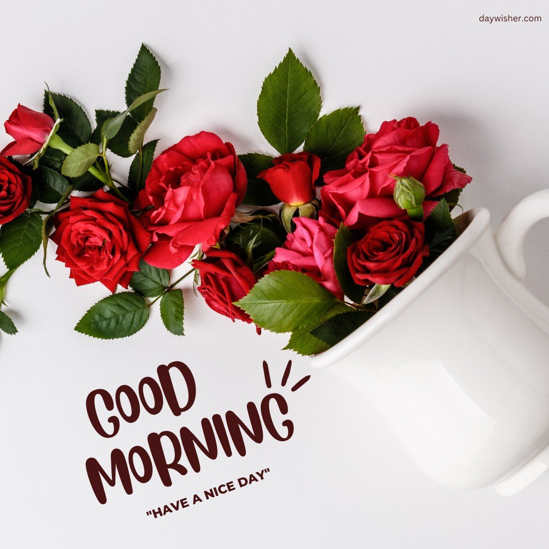 A creative presentation of vibrant red roses spilling from a classic white teacup, set against a clean white background with a playful "Good Morning - Have a Nice Day" message. This charming and unique image combines the freshness of roses with morning cheer, perfect for a delightful and inspiring good morning wish.