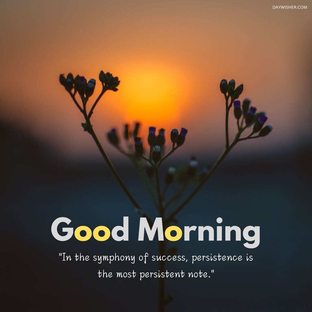 Silhouetted flowers against a stunning sunrise backdrop, accompanied by an inspirational good morning message about persistence, ideal for sharing as a good morning flowers image that motivates and uplifts.