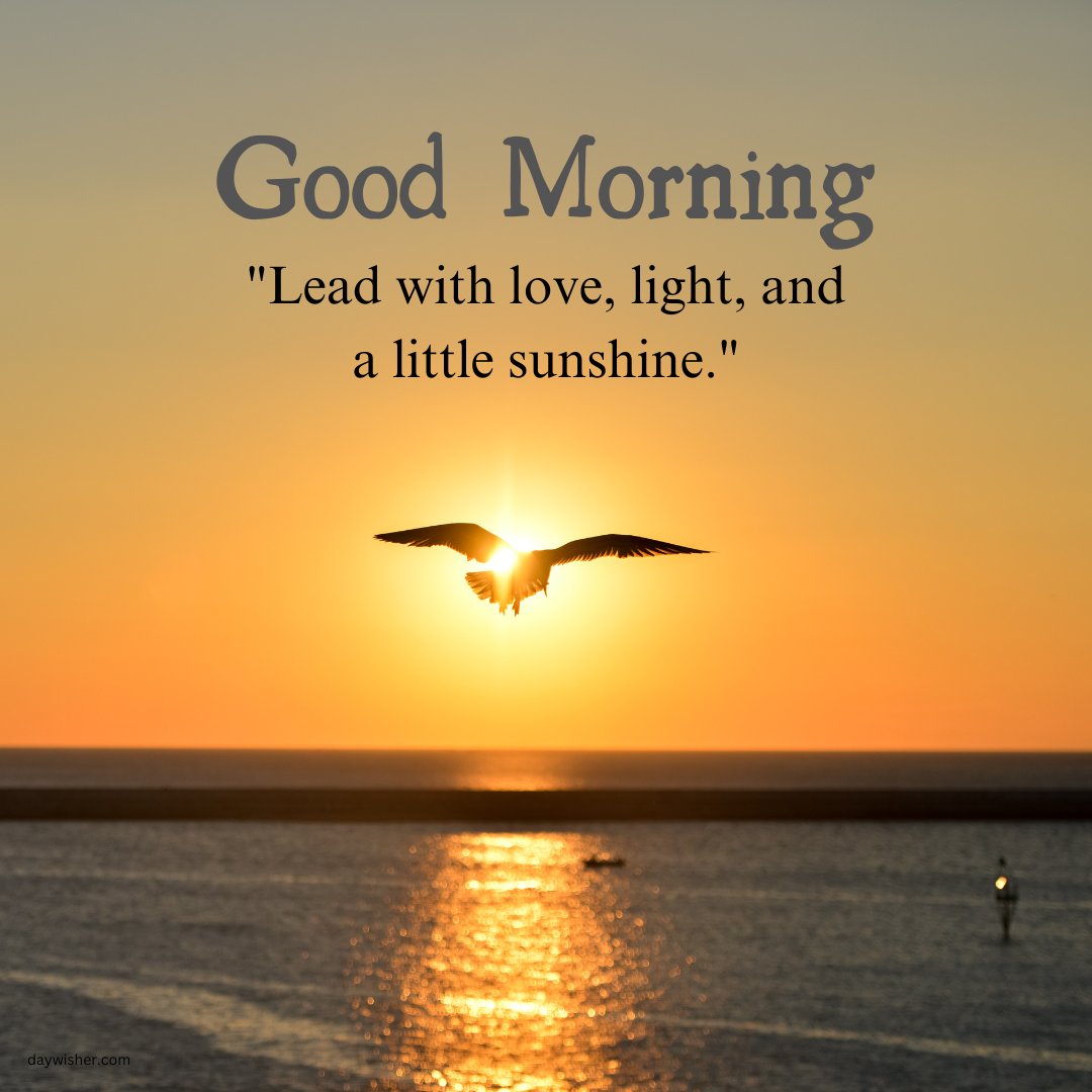 A bird flying over the ocean during sunrise, with the sun's rays creating a warm, golden glow. The text "Good Morning" is displayed above the quote "Lead with love, light, and a little sunshine." This beautiful morning scene perfectly captures the essence of a good morning with natural sunshine, making it ideal for sharing positivity and inspiration.