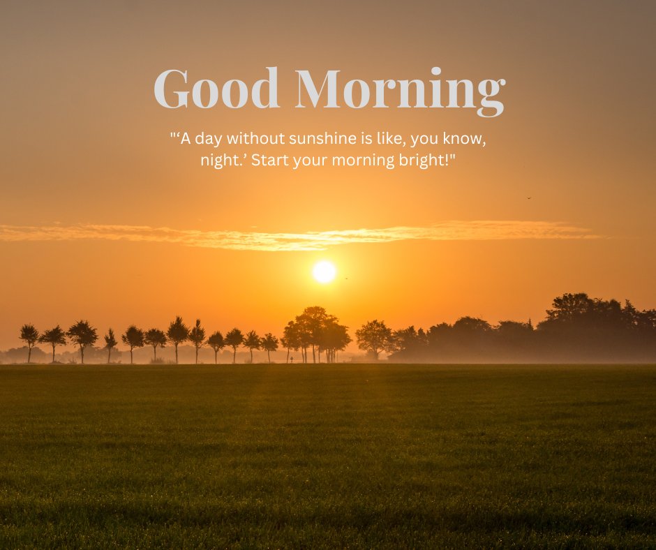 A beautiful sunrise over a green field with a line of trees in the background, bathed in warm golden light. The text "Good Morning" is displayed along with the humorous quote "'A day without sunshine is like, you know, night.' Start your morning bright!" This image captures the essence of a beautiful good morning with natural sunshine, perfect for sharing positivity and humor.