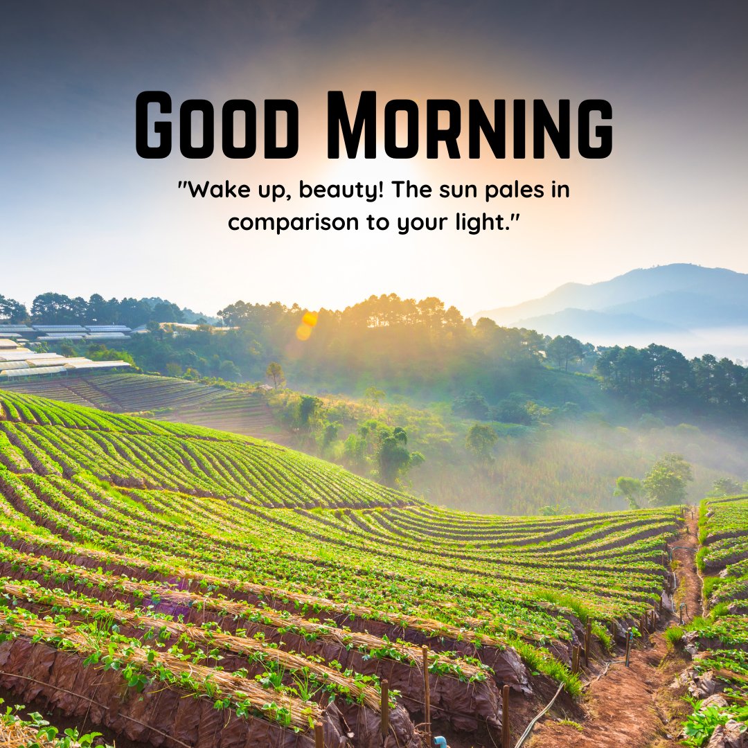 A vibrant sunrise over terraced fields with lush green crops, creating a serene and picturesque landscape. The text "Good Morning" is displayed along with the quote "Wake up, beauty! The sun pales in comparison to your light." This beautiful image captures the essence of a natural good morning with sunshine, perfect for sharing positivity and inspiration