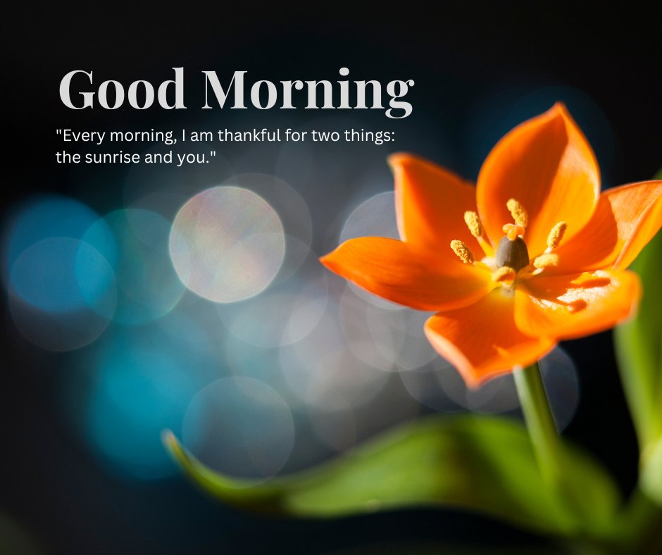 A vibrant orange flower in full bloom, with a soft-focus background of colorful bokeh lights. The text "Good Morning" is displayed along with the quote "Every morning, I am thankful for two things: the sunrise and you." This beautiful image captures the essence of a good morning with natural sunshine, perfect for sharing positivity and appreciation