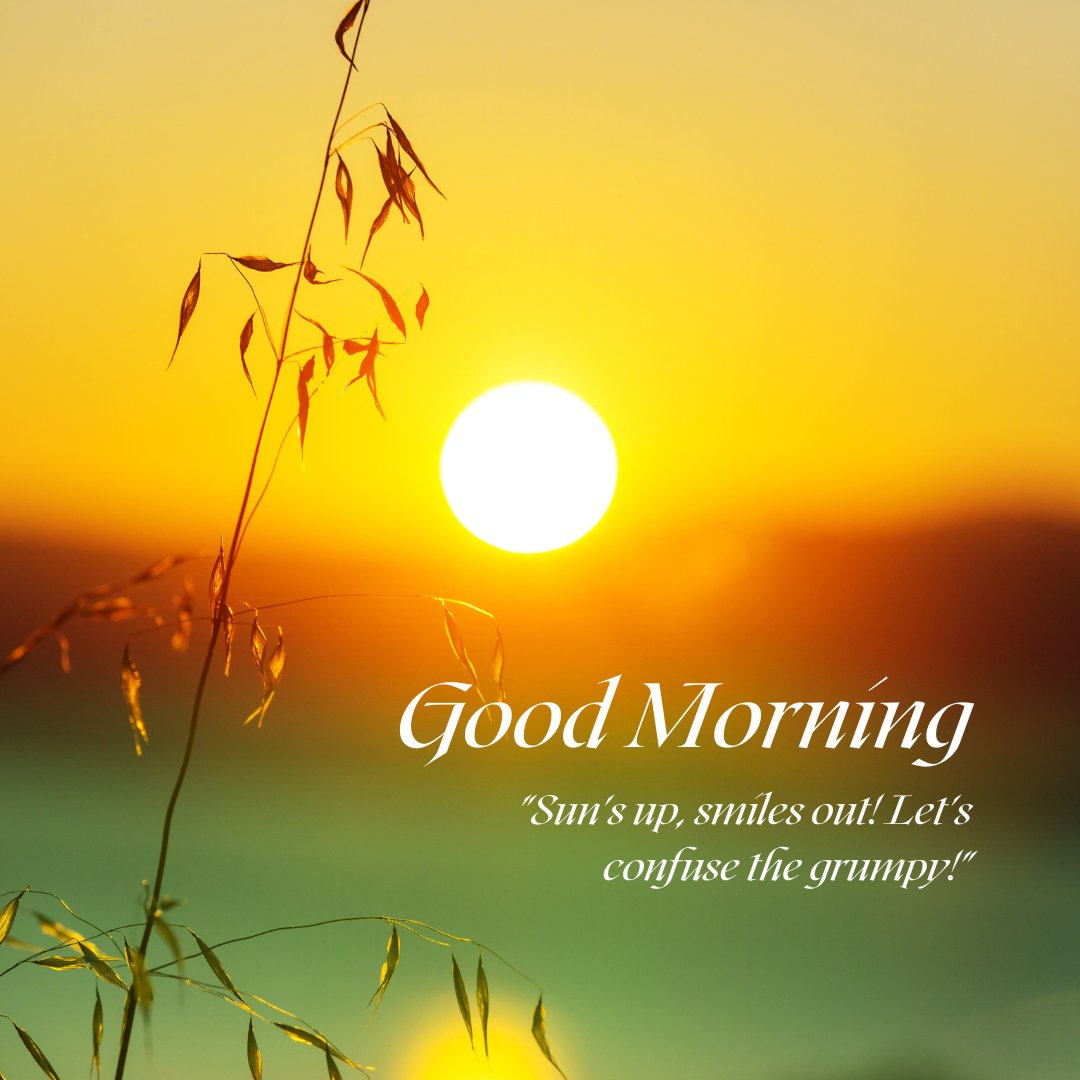 A bright sunrise with the sun casting a warm, golden light over a tranquil landscape. A tall, thin plant with delicate leaves is silhouetted against the glowing sky. The text "Good Morning" is displayed along with the humorous quote "Sun's up, smiles out! Let's confuse the grumpy!" This beautiful and funny image captures the essence of a good morning with natural sunshine, perfect for sharing positivity and humor.