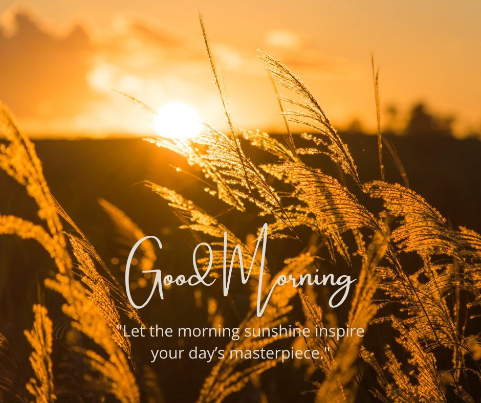 Tall grasses bathed in the golden light of a sunrise, creating a warm and serene atmosphere. The text "Good Morning" is displayed along with the quote "Let the morning sunshine inspire your day's masterpiece." This beautiful image captures the essence of a natural good morning with sunshine, perfect for sharing positivity and inspiration.