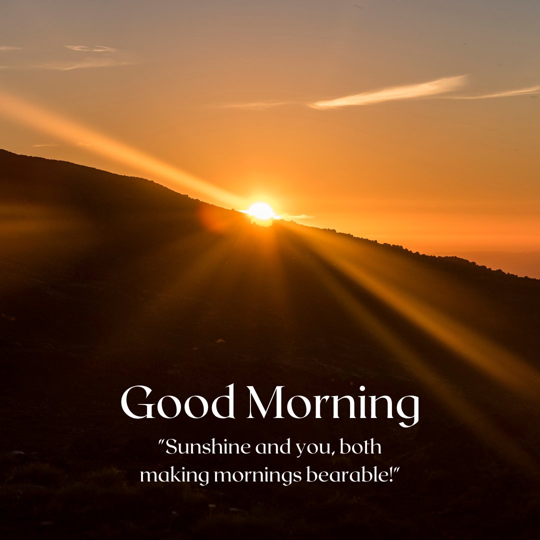 A stunning sunrise over a hilly landscape with the sun's rays spreading across the sky. The text "Good Morning" is displayed along with the quote "Sunshine and you, both making mornings bearable!" This image beautifully captures the essence of a natural good morning with sunshine, perfect for sharing positivity and inspiration.