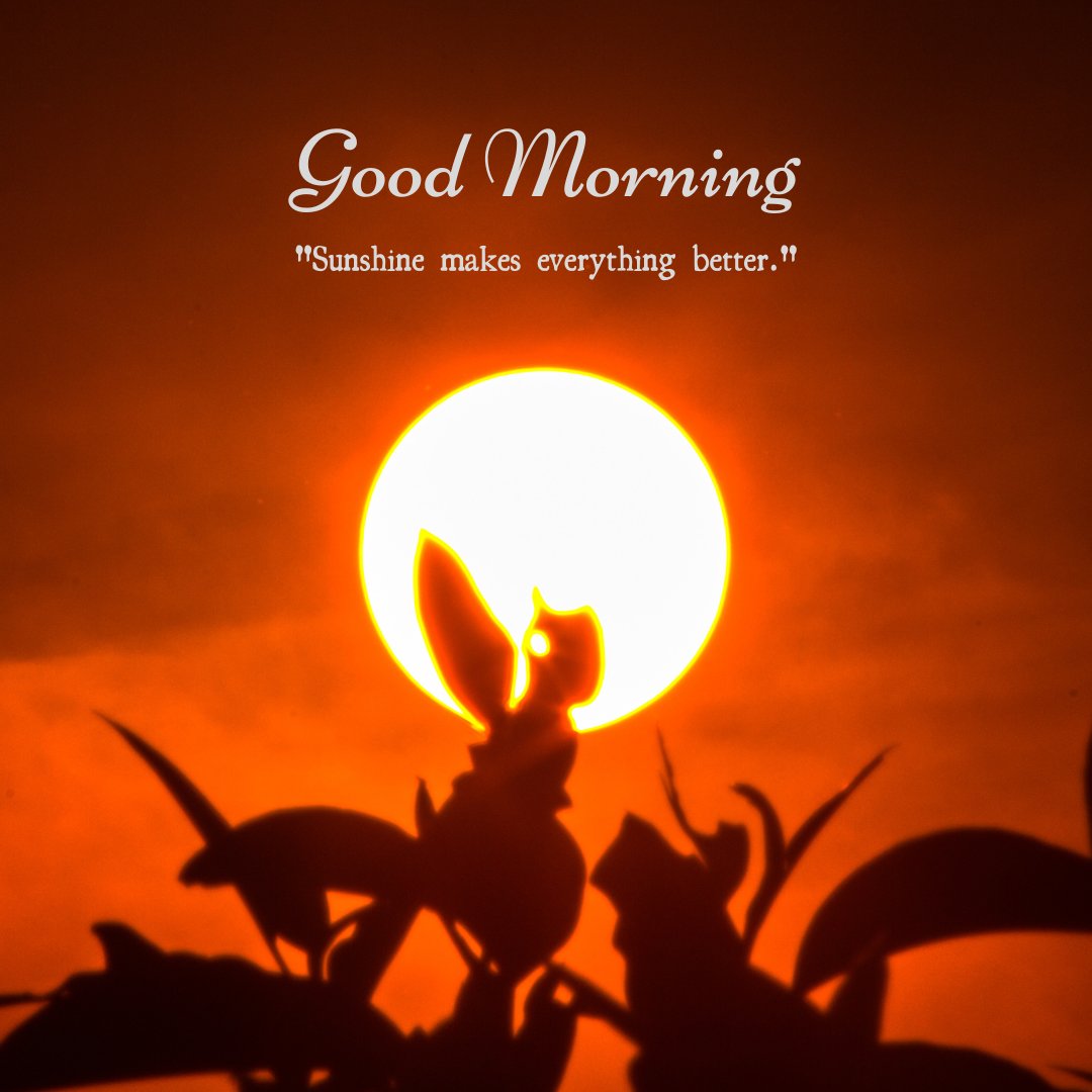 A vibrant sunrise with a large, bright sun rising behind the silhouette of plants and leaves. The text "Good Morning" is displayed above, along with the quote "Sunshine makes everything better." This image captures the natural beauty of a good morning sunshine with a stunning silhouette, perfect for sharing positive and inspiring vibes.