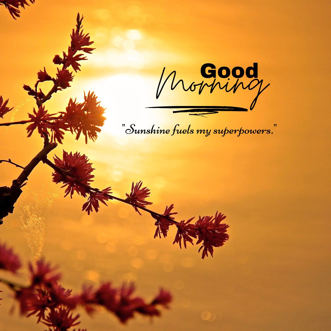 A captivating good morning sunshine image featuring the silhouette of delicate flowers against a vivid golden sunrise. The phrase "Sunshine fuels my superpowers" inspires a sense of energy and vitality, making this image perfect for setting a powerful, optimistic tone for the day. Ideal for motivating and uplifting morning greetings that encourage making the most of every sunlit moment.