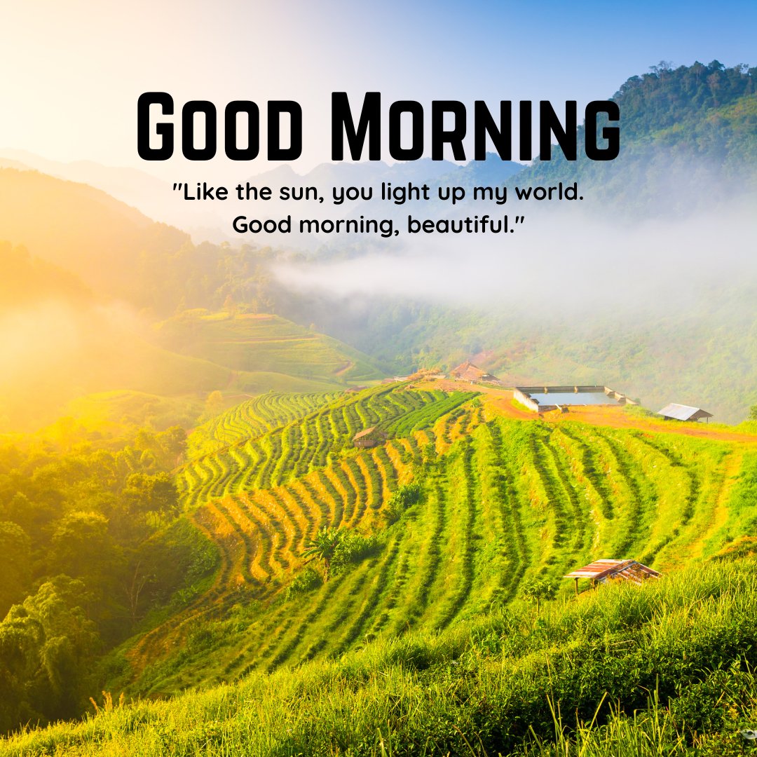 A breathtaking sunrise over lush green terraced fields, with mist floating above the landscape. The warm sunlight illuminates the scene, creating a serene and vibrant atmosphere. The text "Good Morning" is displayed along with the quote "Like the sun, you light up my world. Good morning, beautiful." This beautiful image captures the essence of a natural good morning with sunshine, perfect for sharing positivity and inspiration.