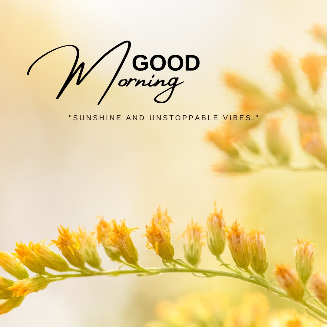 An uplifting good morning sunshine image showcasing a close-up of vibrant yellow flowers under a soft, glowing light. The elegant script "Good Morning" along with the quote "Sunshine and unstoppable vibes" enhances the image, setting a positive and energetic tone for the day. Ideal for inspiring optimism and strength from the start of the morning.