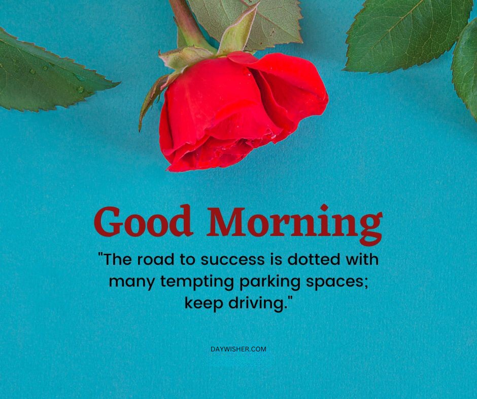 Good morning flowers images featuring a vibrant red rose on a bright blue background with an inspirational quote about perseverance on the road to success.