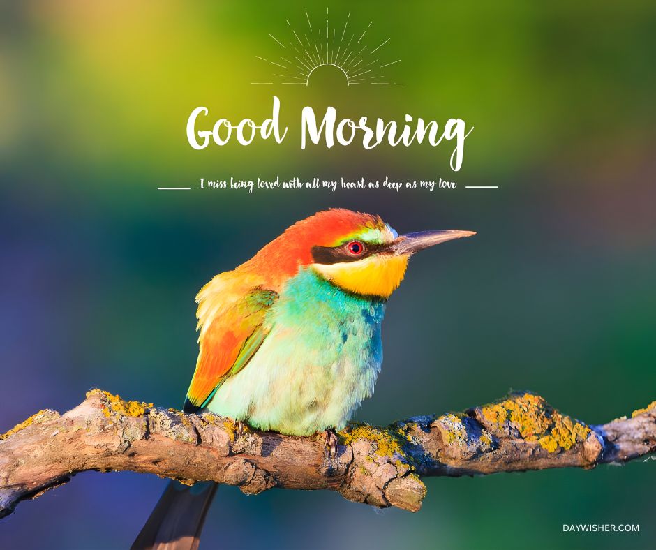 A vibrantly colored European bee-eater perches on a moss-covered branch, set against a soft focus background of green and blue hues that suggest a calm dawn. The bird's feathers are a stunning array of bright green, yellow, red, and blue, creating a striking visual. The image is complemented with a 'Good Morning' greeting in stylish script and a heartfelt message about love and longing.