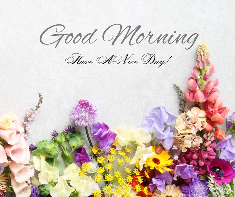 Vibrant floral arrangement featuring a mix of purple, yellow, and pink flowers with 'Good Morning, Have a Nice Day!' text, perfect for sharing good morning wishes.