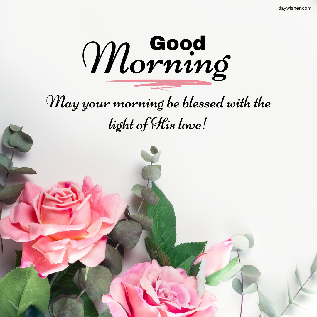 A beautiful good morning blessings image featuring pink roses and eucalyptus leaves with the message "Good Morning. May your morning be blessed with the light of His love!" The delicate flowers and greenery set against a soft white background create a serene and uplifting atmosphere. This image is perfect for sharing religious and inspirational morning greetings, expressing blessings and love to start the day positively.