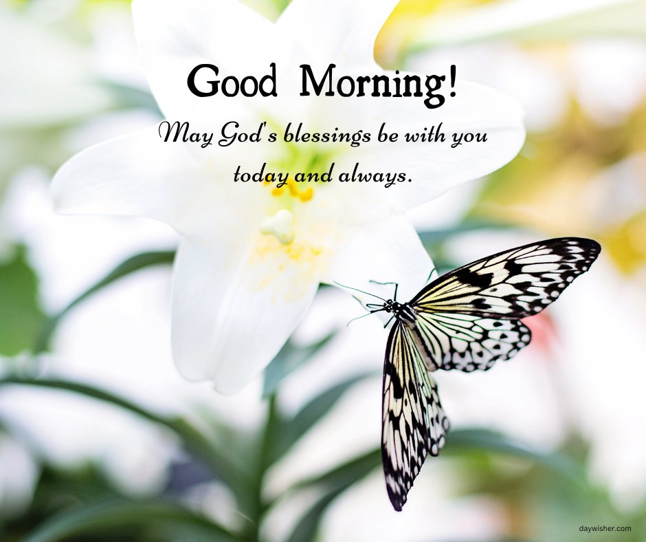 A delicate butterfly perched on a white lily with the text "Good Morning! May God's blessings be with you today and always." This image captures the essence of free good morning blessings images with quotes, offering a peaceful and inspirational start to the day.