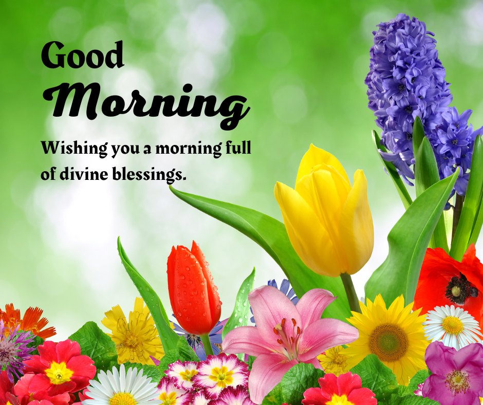 A vibrant good morning blessings image featuring a colorful array of flowers, including yellow tulips, red tulips, pink lilies, and purple hyacinths, set against a lush green background. The text reads, "Good Morning. Wishing you a morning full of divine blessings." This beautiful good morning blessings image combines inspirational and religious elements with a positive message, perfect for sharing faith-based morning quotes.