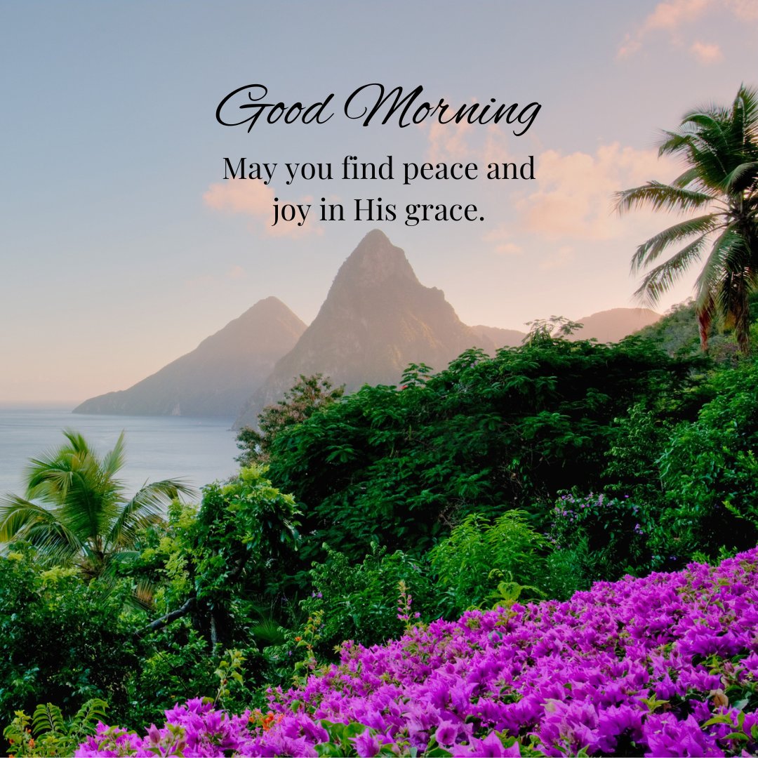 A beautiful good morning blessings image featuring a lush tropical landscape with purple flowers and a view of mountains by the ocean. The message reads "Good Morning. May you find peace and joy in His grace." The serene natural setting and uplifting words create a calming and inspirational atmosphere, perfect for sharing positive and religious morning greetings. This image conveys a sense of tranquility and divine grace, making it ideal for starting the day with blessings.