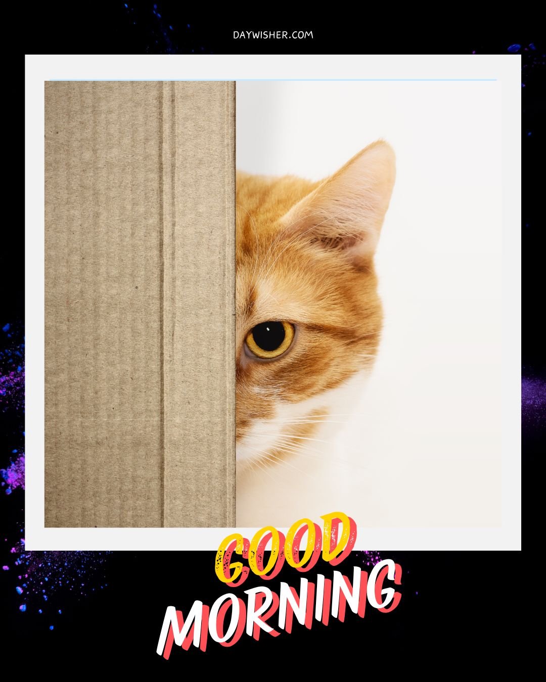A playful image featuring a ginger cat peeking from behind a cardboard divider. Only one eye and half of its face are visible, creating a curious and engaging expression. The background has a celestial theme, and the word "GOOD" is written in vibrant, multicolored letters, contributing to a lighthearted and cheerful "Good Morning" message.