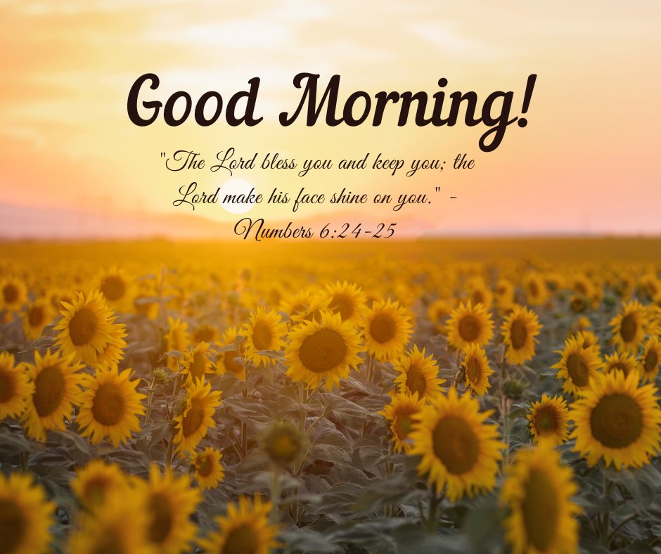 A beautiful good morning blessings image featuring a field of sunflowers at sunrise with the message "Good Morning! 'The Lord bless you and keep you; the Lord make his face shine on you.' - Numbers 6:24-25." The vibrant sunflowers and the warm glow of the sunrise create a serene and uplifting atmosphere, perfect for sharing inspirational and religious morning greetings. This image conveys a sense of divine blessing and positivity, making it ideal for starting the day with faith and joy.