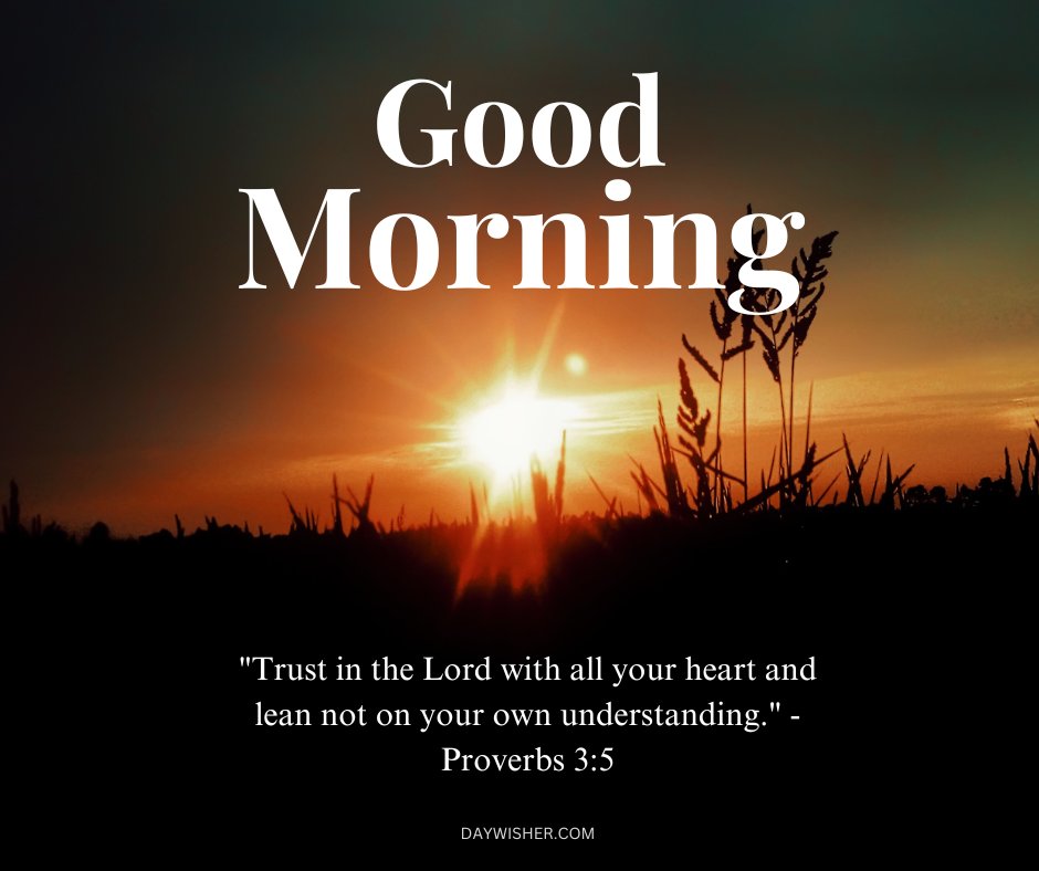 A beautiful good morning blessings image featuring a serene sunrise with silhouetted plants and the message "Good Morning. 'Trust in the Lord with all your heart and lean not on your own understanding.' - Proverbs 3:5." The warm glow of the sunrise against the dark landscape creates a peaceful and inspiring atmosphere. This image is perfect for sharing religious and inspirational morning greetings, encouraging trust and faith in the Lord to start the day positively.