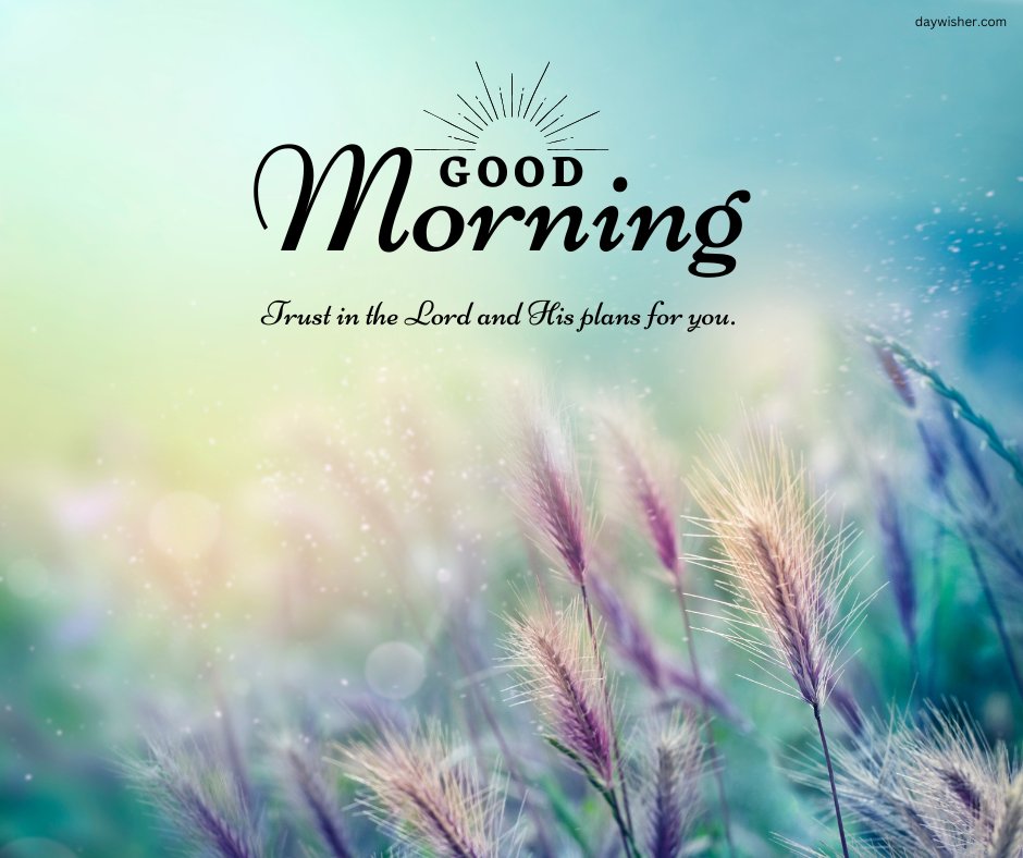 A beautiful good morning blessings image featuring a serene field of wheat against a soft, colorful background with the message "Good Morning. Trust in the Lord and His plans for you." The delicate wheat stalks and the gentle, pastel colors create a peaceful and uplifting scene. This image is perfect for sharing inspirational and religious morning greetings, encouraging trust and faith in the Lord's plans to start the day positively.