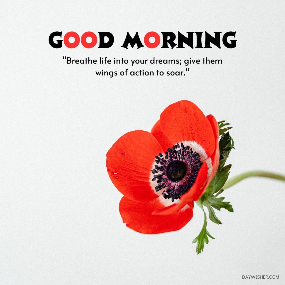 Inspirational "Good Morning Flowers" greeting featuring a bright red poppy flower on a white background with a quote: "Breathe life into your dreams; give them wings of action to soar