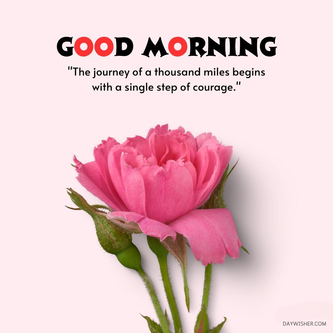 A pink rose with green leaves against a light background, accompanied by the text "good morning" and a quote, "the journey of a thousand miles begins with a single step of courage.