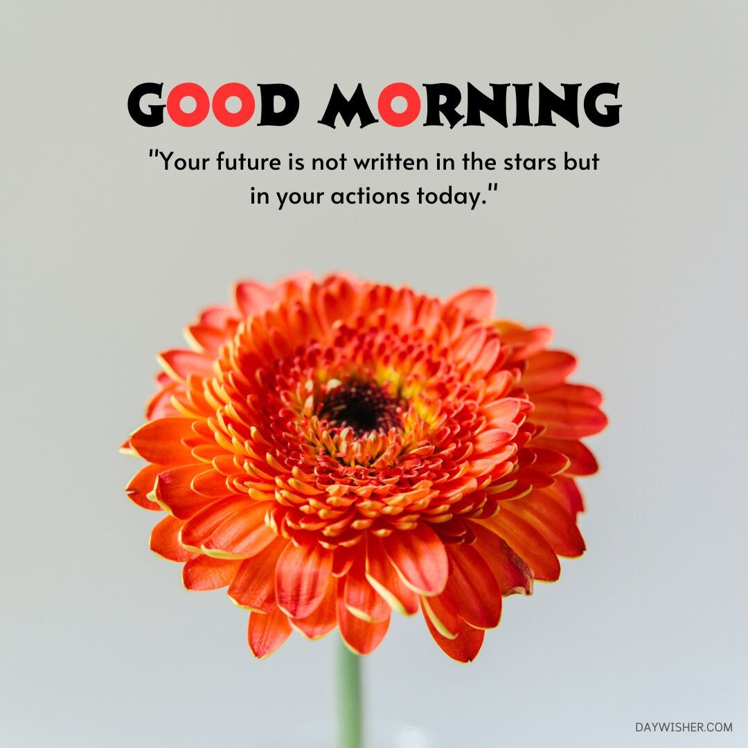 A vibrant orange gerbera daisy centered in front of a subtle gray background, with the text "good morning" and a motivational quote about the importance of actions in shaping the future.