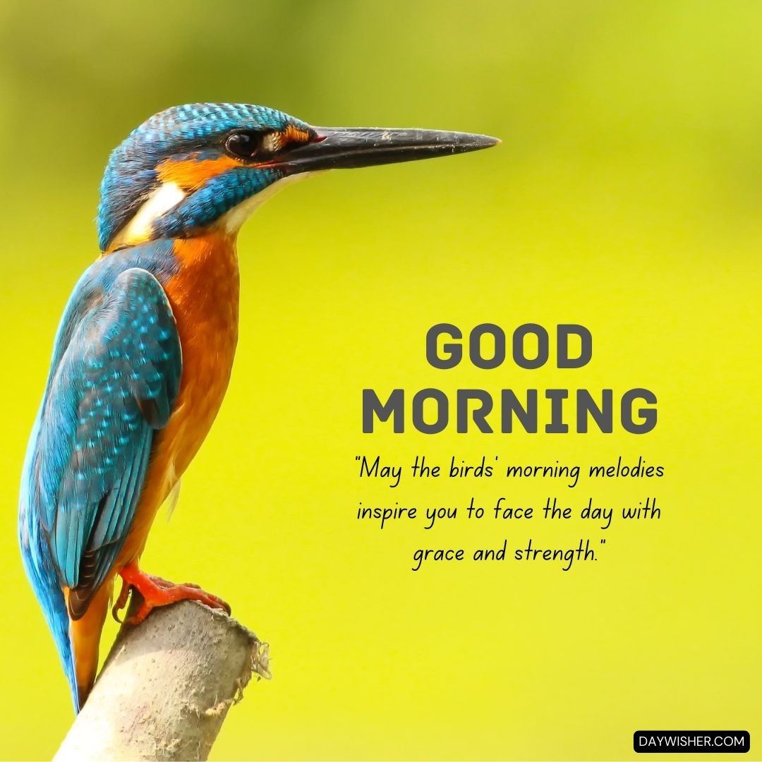 A vibrant kingfisher bird perched on a branch against a soft green background, with the text "good morning" and a motivational quote about the birds' morning melodies in "Good Morning Birds Images