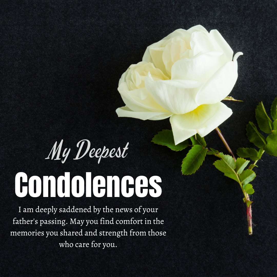 An image featuring a single white rose against a dark background with the text 'My Deepest Condolences' expressing sympathy. This captures the essence of thoughtful condolence messages for the death of a father, offering a symbol of purity, remembrance, and heartfelt sorrow.