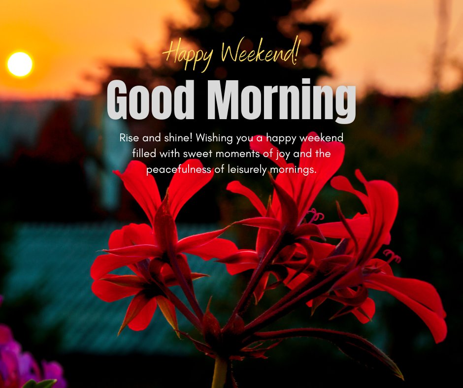 Happy Weekend Good Morning greeting with a vivid red flower in the foreground and a sunrise background, encapsulating a peaceful and joyful start to the weekend.