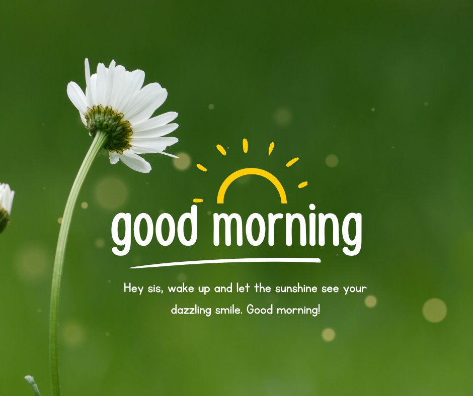 Good Morning Wishes for Sister featuring a serene nature backdrop with a white daisy in focus and a vibrant green background. The message reads, "Good morning. Hey sis, wake up and let the sunshine see your dazzling smile. Good morning!"