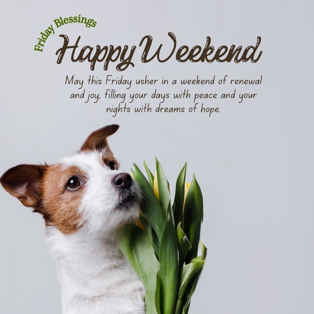 Happy Friday and Weekend Blessings message with a cheerful dog holding green tulips, wishing peace and renewal for the weekend.
