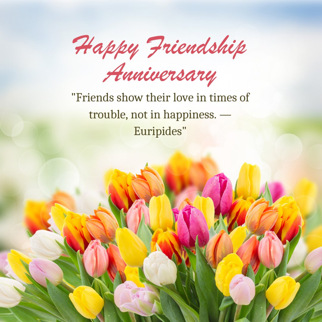 Happy Friendship Anniversary greeting card featuring a vibrant bouquet of tulips with a backdrop of a bright, blurred green field, displaying the quote 'Friends show their love in times of trouble, not in happiness. — Euripides.'