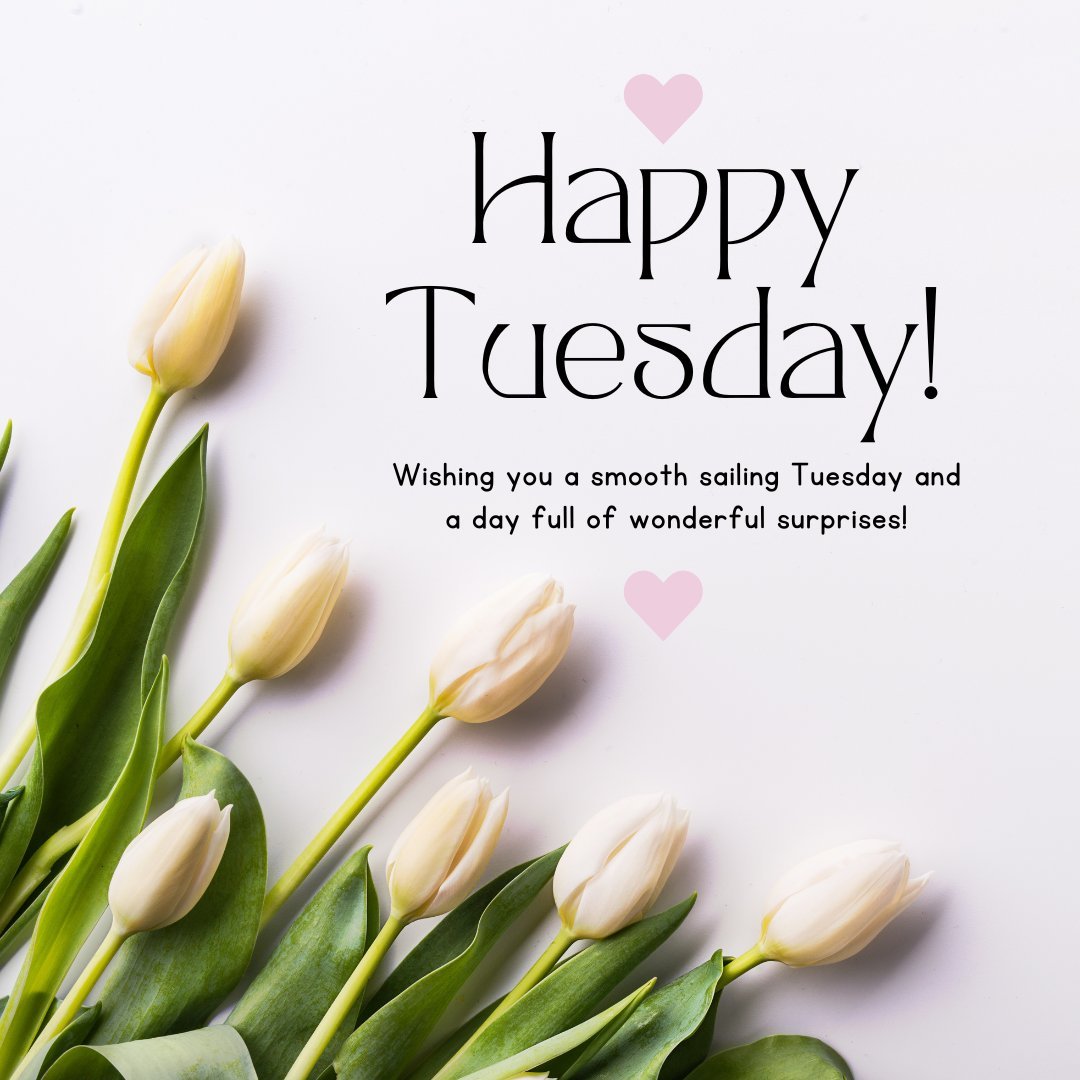 Happy Tuesday message with white tulips on a light background, featuring the text 'Happy Tuesday! Wishing you a smooth sailing Tuesday and a day full of wonderful surprises!' aimed at wishing someone a successful day.