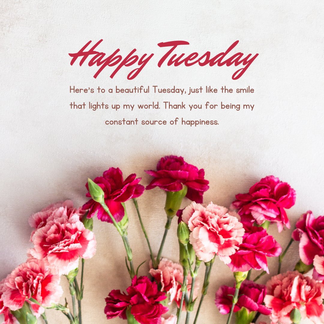 Elegant Happy Tuesday greeting with lush pink carnations against a textured background, featuring heartfelt text appreciating a special someone and acknowledging their constant source of happiness.