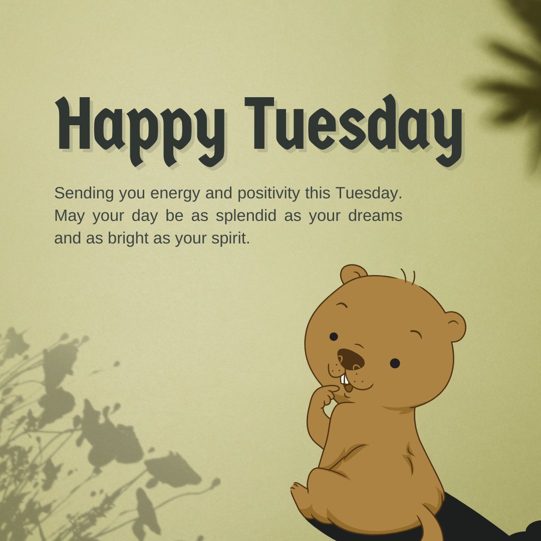 Happy Tuesday greeting featuring a cheerful cartoon bear thinking, set against a soft green background with shadows of leaves and a message wishing energy and positivity, designed to inspire her to achieve greatness.