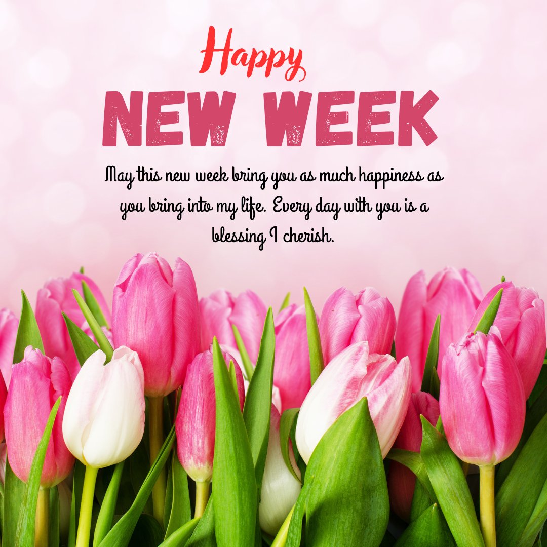 Romantic New Week Wishes for Your Special Someone with a beautiful display of pink and white tulips on a soft pink background, expressing love and appreciation.