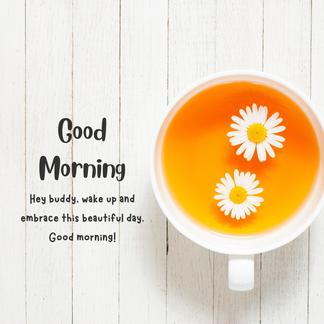 Sweet Good Morning Messages for Friends featuring a cup of tea with two white daisies floating on top, set against a rustic white wooden background. The image includes a friendly message: "Good Morning. Hey buddy, wake up and embrace this beautiful day. Good morning!