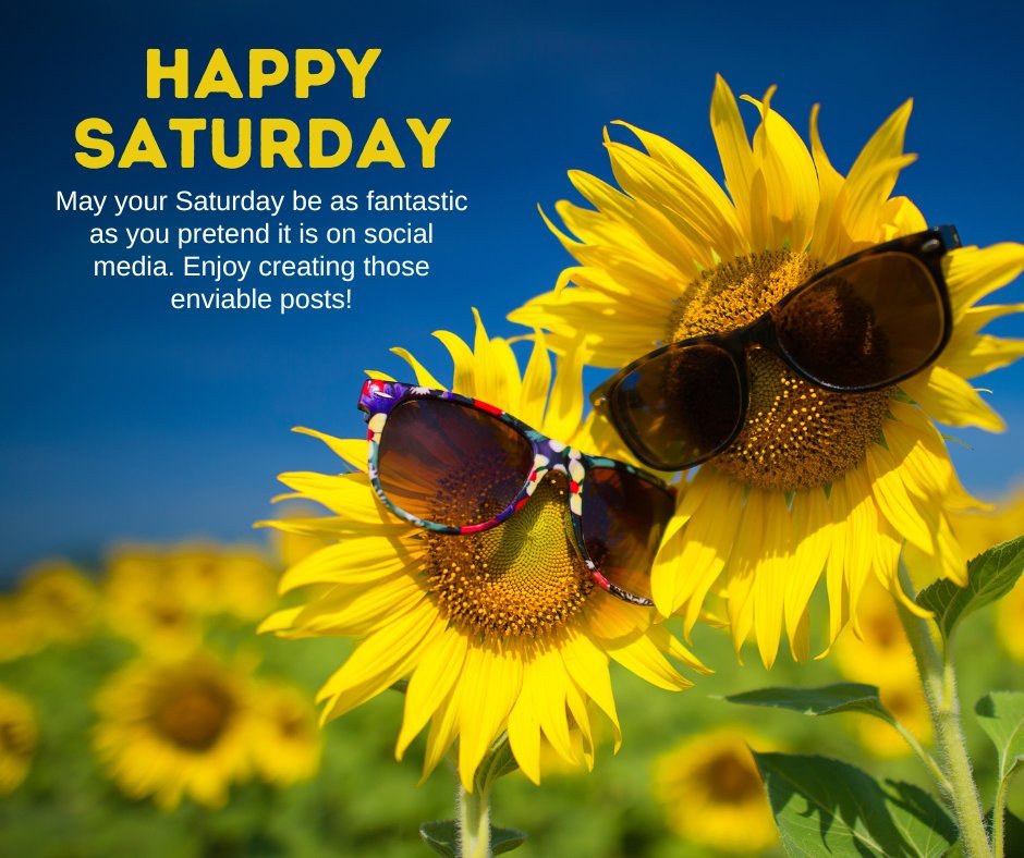 Witty Happy Saturday Wishes displayed on an image of sunflowers wearing sunglasses under a clear blue sky, symbolizing a playful and bright weekend.