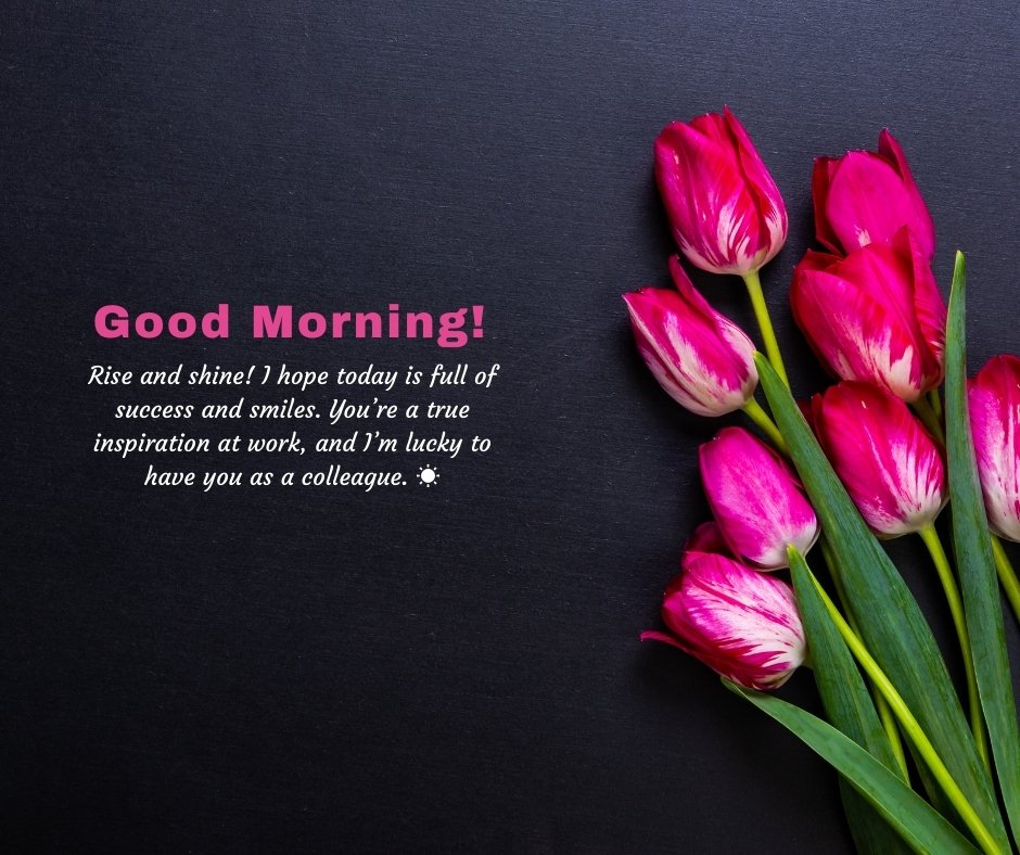 Good Morning Beautiful Messages for Colleague with a bouquet of vibrant pink tulips against a black background, expressing appreciation and encouragement for a coworker.