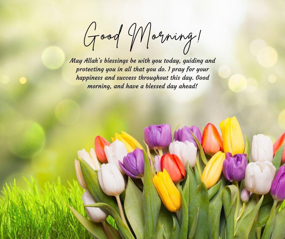 Image of vibrant tulips with a Good Morning Dua Message for colleagues: 'May Allah’s blessings be with you today, guiding and protecting you in all that you do. I pray for your happiness and success throughout this day.' Perfect for sharing morning prayers and well wishes with colleagues.