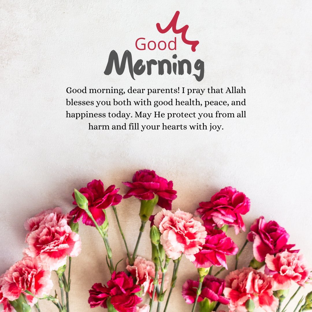 Image of pink and red carnations with a Good Morning Dua Message for parents: 'Good morning, dear parents! I pray that Allah blesses you both with good health, peace, and happiness today. May He protect you from all harm and fill your hearts with joy.' Ideal for sharing morning prayers and blessings with parents