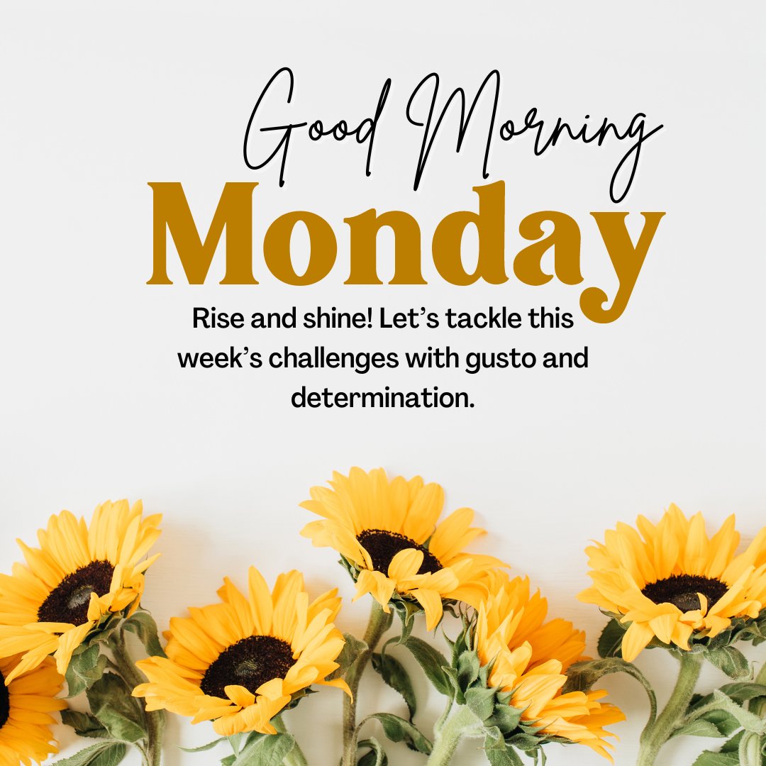 Good Morning Monday Messages text overlay on a vibrant background of sunflowers, symbolizing a fresh, sunny start to the week.