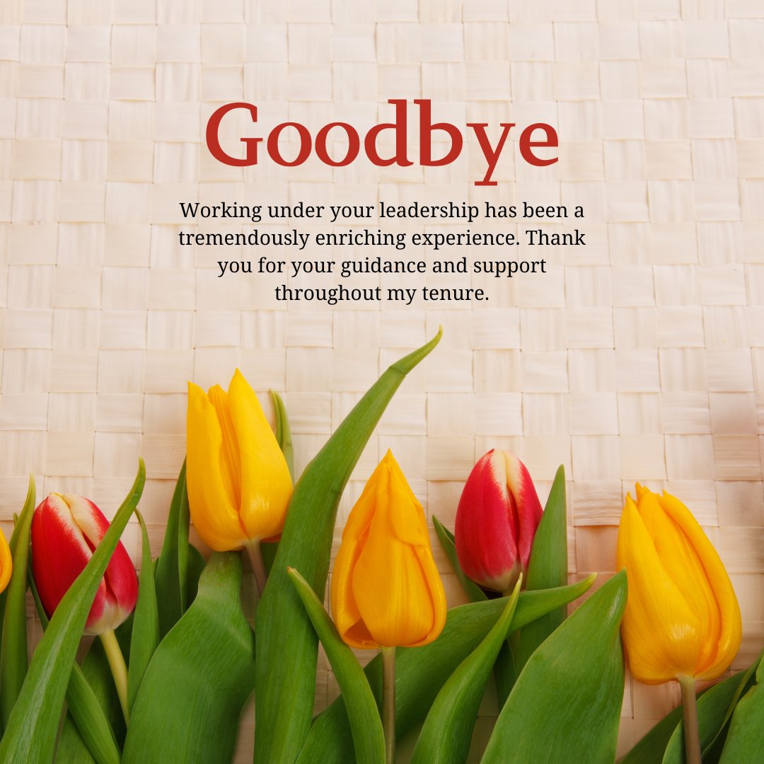 Goodbye messages to boss when leaving a company with a heartfelt note of gratitude for guidance and support, featuring yellow and red tulips on a textured background.