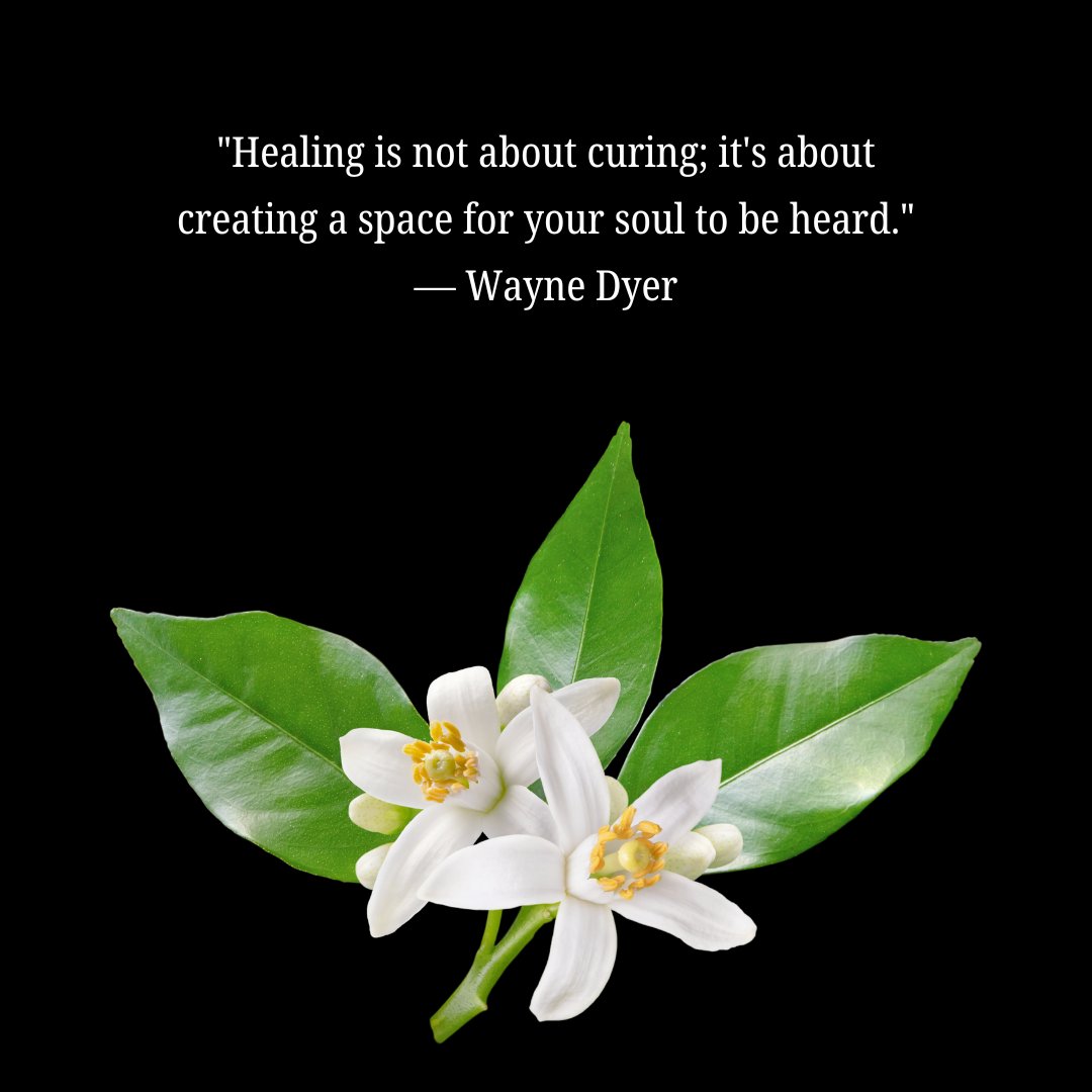 Healing manifestation quote by Wayne Dyer displayed above a white flower with green leaves on a black background, symbolizing the spiritual journey of healing and inner peace.