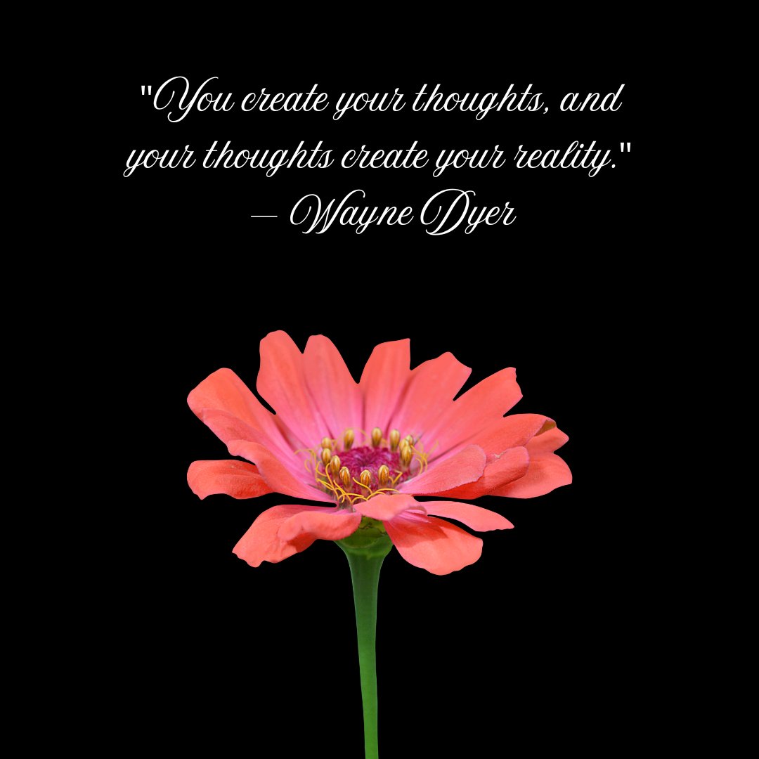 Manifestation quote by Wayne Dyer displayed over a vibrant pink flower on a black background, emphasizing the power of thoughts in creating reality.