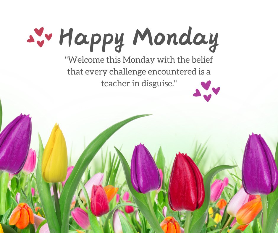 Happy Monday greeting over a vibrant display of multicolored tulips with a Mindset Monday Quote: 'Welcome this Monday with the belief that every challenge encountered is a teacher in disguise.'