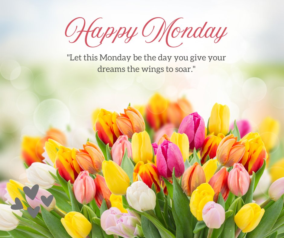 Happy Monday message surrounded by vibrant tulips, featuring the motivational Monday quote for work: 'Let this Monday be the day you give your dreams the wings to soar.'